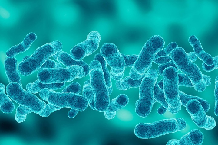 Julia Segre: «La nostra salute è nelle mani dei batteri»