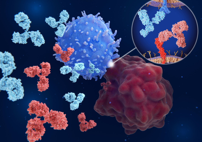 Un bisturi chiamato immunoterapia