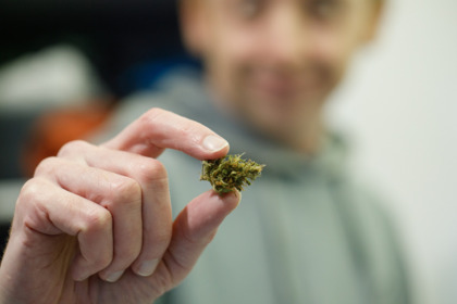 Il consumo di cannabis può danneggiare il cuore