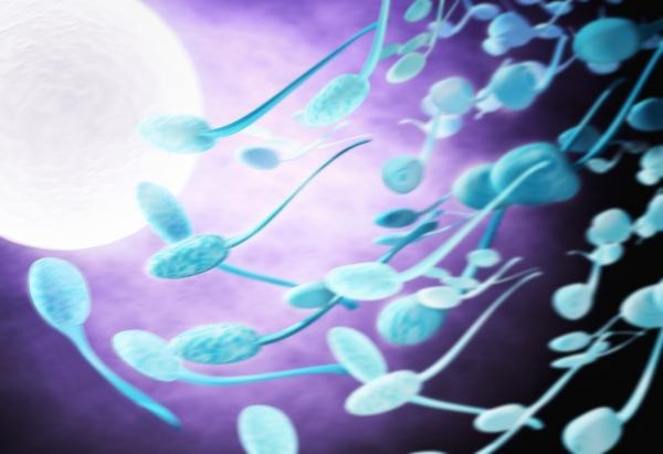 Giovani sempre meno fertili