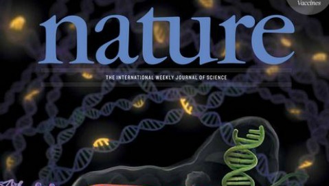 Frodi scientifiche: la rivista Nature corre ai ripari