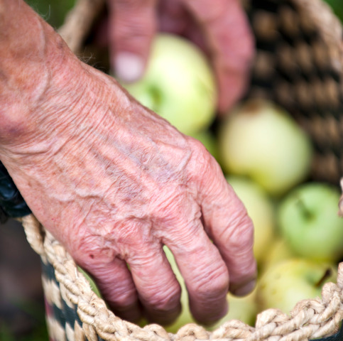 Il segreto per vivere 100 anni? Mangiare poco, anzi pochissimo