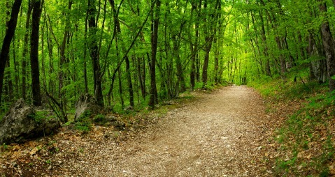 Pedalare fa bene, nel verde fa meglio