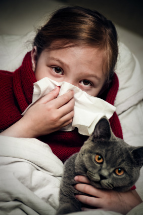 Allergie pediatriche: dieci miti da sfatare