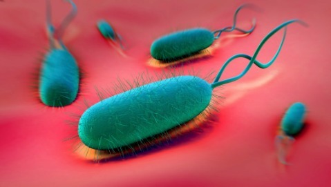 Come affrontare l'helicobacter resistente agli antibiotici?