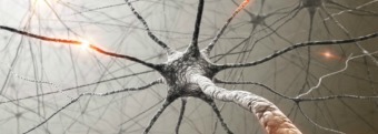"Aggiustare il cervello", un incontro sulla mente tra scienza e letteratura
