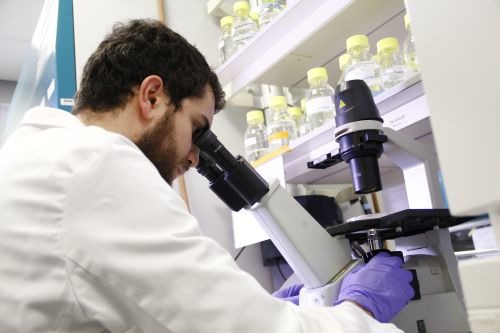 Una notte per la Ricerca. La Notte dei Ricercatori con Fondazione Veronesi al Museo della Scienza e della Tecnologia