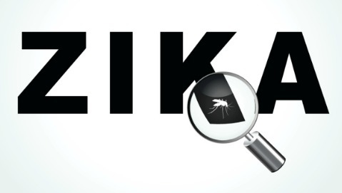 Brasile, virus Zika "colpevole" dei casi di microcefalia?