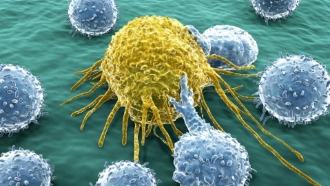 L’immunoterapia contro i tumori è la svolta dell’anno