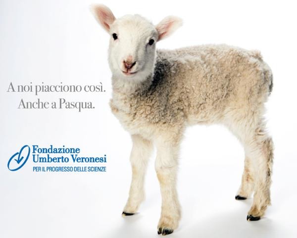 Menù di Pasqua: le alternative all'agnello