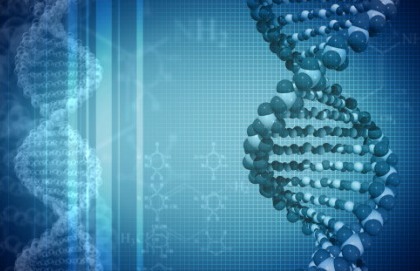 Nuove possibili terapie per linfomi e leucemie