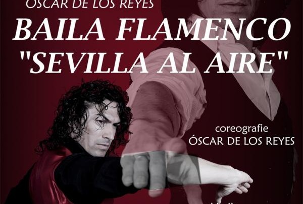Spettacolo di flamenco a favore della Fondazione Veronesi